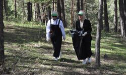 Gümüşhane, Artvin ve Ordu'da doğada çevre temizliği yapıldı