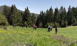 Gümüşhane'de doğaseverler yaylalara ilgi gösterdi