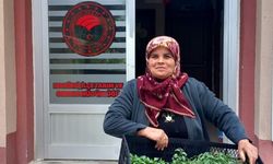 Hanönü'de 25 bin fide dağıtıldı