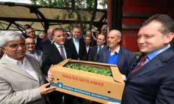 İstanbullu çiftçilere karşılıksız destekler sürüyor