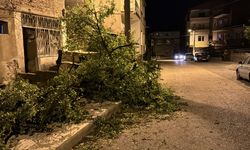 Karabük'te kuvvetli rüzgar etkili oldu