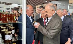 Karadeniz Ordu Tarım, Hayvancılık ve Fındık Fuarı açıldı