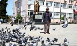 Karadenizli ihtiyar delikanlı, güvercinleri beslemeyi bir gün bile aksatmıyor