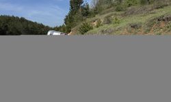 Kastamonu'da devrilen hafif ticari araçtaki 4 kişi yaralandı