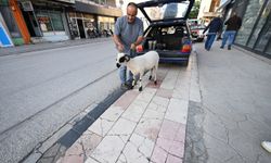 Kurbanlık aldığı koçla arkadaş gibi oldu