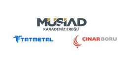ERDEMİR, TAT METAL, ÇINAR BORU, EREN ENERJİ İLK 500'DE