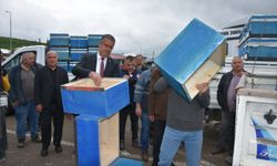 Ordu'da 48 üreticiye 2400 arılı kovan desteği verildi