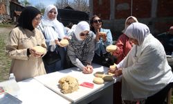 Orta Doğu'dan gelen akademisyen ve şefler, Kastamonu'da siyez buğdayını inceledi
