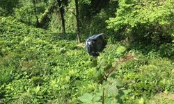 Rize'de hafif ticari aracın çay bahçesine devrildiği kazada 2 kişi yaralandı