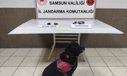Samsun'da alışveriş çantasındaki uyuşturucu "Tahra"nın hassas burnundan kaçmadı