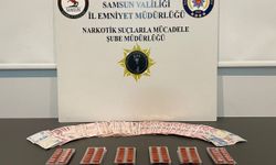 Samsun'da düzenlenen uyuşturucu operasyonunda 1 zanlı yakalandı