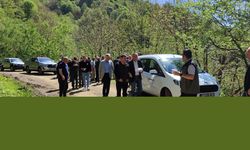 Samsun'da kestane zararlısı ile mücadele için doğaya faydalı böcek salındı