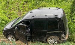 Samsun'da tarlaya devrilen hafif ticari aracın sürücüsü yaralandı