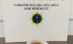 Samsun'da uyuşturucu operasyonunda 1 zanlı yakalandı