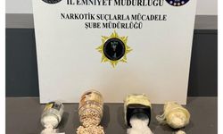 Samsun'da uyuşturucu operasyonunda 2 zanlı yakalandı