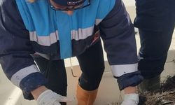 Seben Gölü'nden 500 metre hayalet ağ çıkarıldı