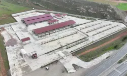 Sivas’ta kurban pazarı Kovalı'ya kuruluyor