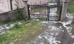 Tokat'ta şiddetli yağmur sonucu meydana gelen selde 35 koyun telef oldu