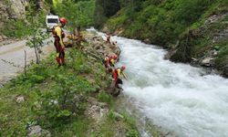 Trabzon'da dereye düşen 9 yaşındaki çocuk kayboldu