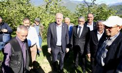 TZOB Genel Başkanı Bayraktar, Giresun'da zirai dondan etkilenen fındık bahçelerini inceledi