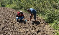 İLÇEDE DEMONSTRASYON ALANI KURULDU