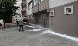 BÖCEKLER SARMIŞTI, TÜM SOKAK İLAÇLANDI