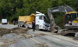 DEVRİLEN KAMYONET SÜRÜCÜSÜ HAYATINI KAYBETTİ