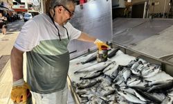 Av sezonunda tuzlanan palamutlar yazın tezgahları süslüyor