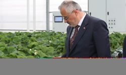 Bafra Sera OSB 1500 kişiye iş imkanı sağlayacak