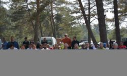 Başçiftlik'te Karaçam Şenlikleri düzenlendi