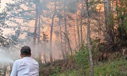 Bolu'nun Göynük ilçesinde çıkan orman yangınına müdahale ediliyor