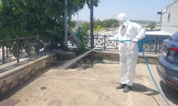 Bursa Nilüfer’de bayram sonrası temizlik
