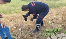 Çorum'da görme engelli yavru kediyi itfaiye kurtardı