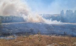 Çorum'da yangın sonucu 160 dönüm arazi ile 3 ev zarar gördü