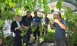 Gümüşhacıköy Kaymakamı Büşra Güneş’ten esnaf ziyareti