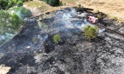 Karabük'te çıkan anız yangını söndürüldü