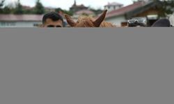 Küçük çocuklardan at üzerinde cimnastik gösterisi