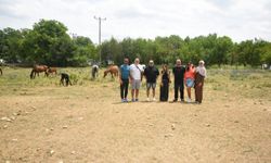 Lübnan'dan gelen turizmciler Kastamonu'yu gezdi