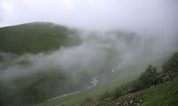 Rize'de "20. Dağ Horozu Şenliği" düzenlendi