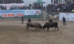Rize'de "29. Çamlıhemşin Ayder Kültür, Sanat ve Doğa Festivali" sona erdi