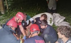 Rize'de ayağına dirgen saplanan kişi yaralandı