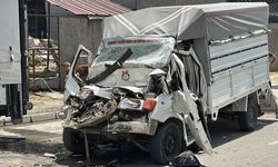 Samsun'da tırla çarpışan canlı hayvan yüklü kamyonetin sürücüsü yaralandı
