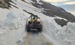 Trabzon'da yayla yollarında karla mücadele çalışması yapılıyor