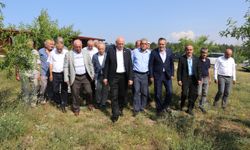 TZOB Genel Başkanı Bayraktar, Karabük'te zirai dondan etkilenen tarım alanlarını inceledi