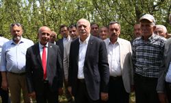 TZOB Genel Başkanı Bayraktar, Kastamonu'da dondan etkilenen tarım arazilerini gezdi
