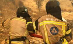 Akkuyu NGS İtfaiye Birimi, yangın söndürme çalışmalarına destek verdi