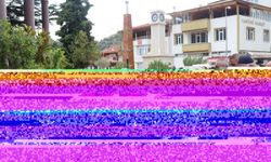 Amasya'da bir kişi eşini öldürdükten sonra intihar etti