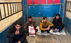 Amasya'da tırın dorsesinde 4 düzensiz göçmen yakalandı