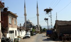 Amasya'nın "Leylekli köyü" bu yıl da özel misafirlerini ağırlıyor