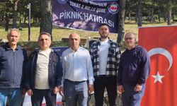 Artova'da Eğitim-Bir-Sen 2 No'lu Şube üyeleri ve aileleri piknikte buluştu